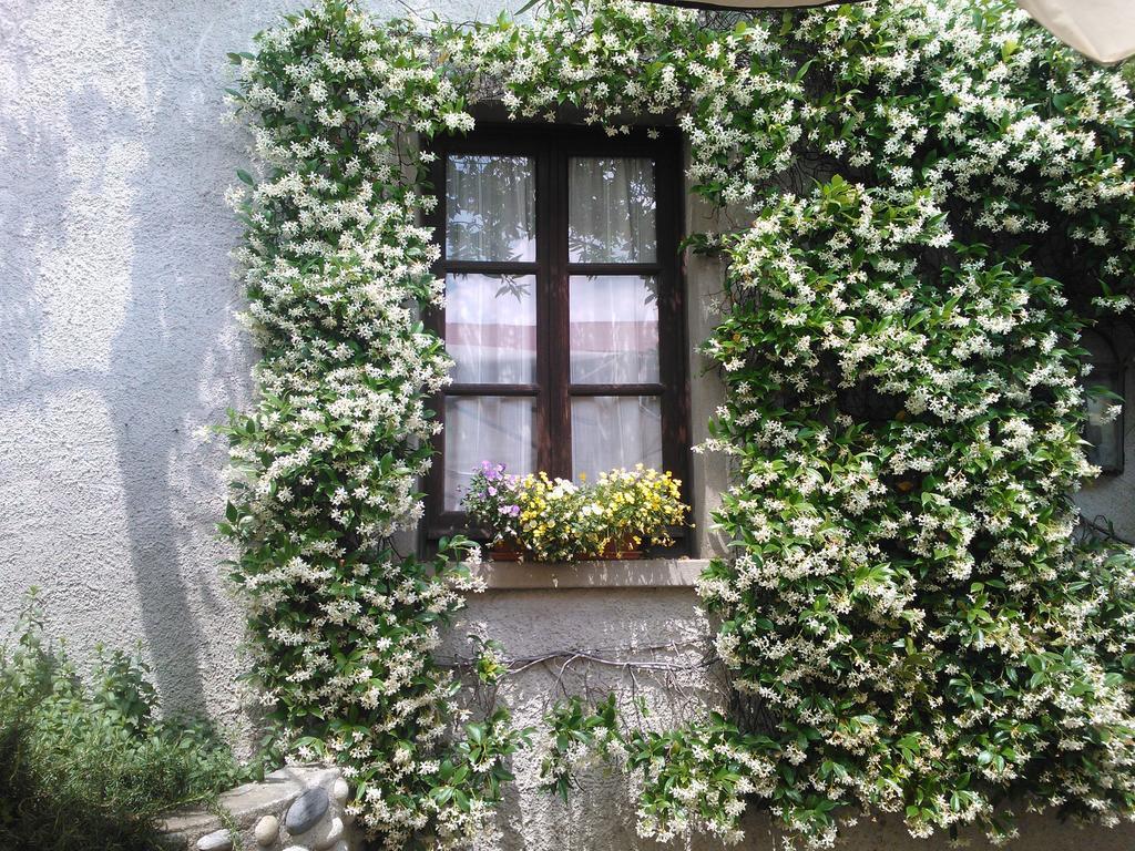 Agriturismo Cassinazza Orsenigo Chambre photo