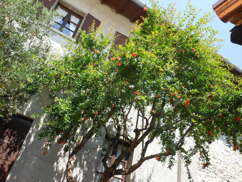 Agriturismo Cassinazza Orsenigo Extérieur photo